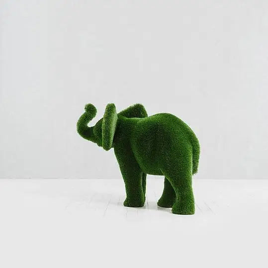 Collezione di topiaria di erba elefante