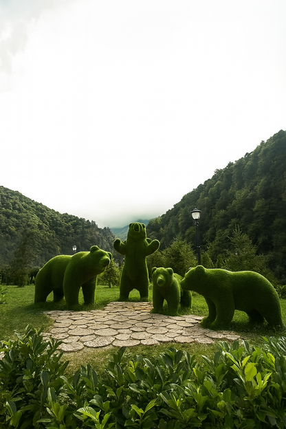 Collezione di topiaria di orso d'erba