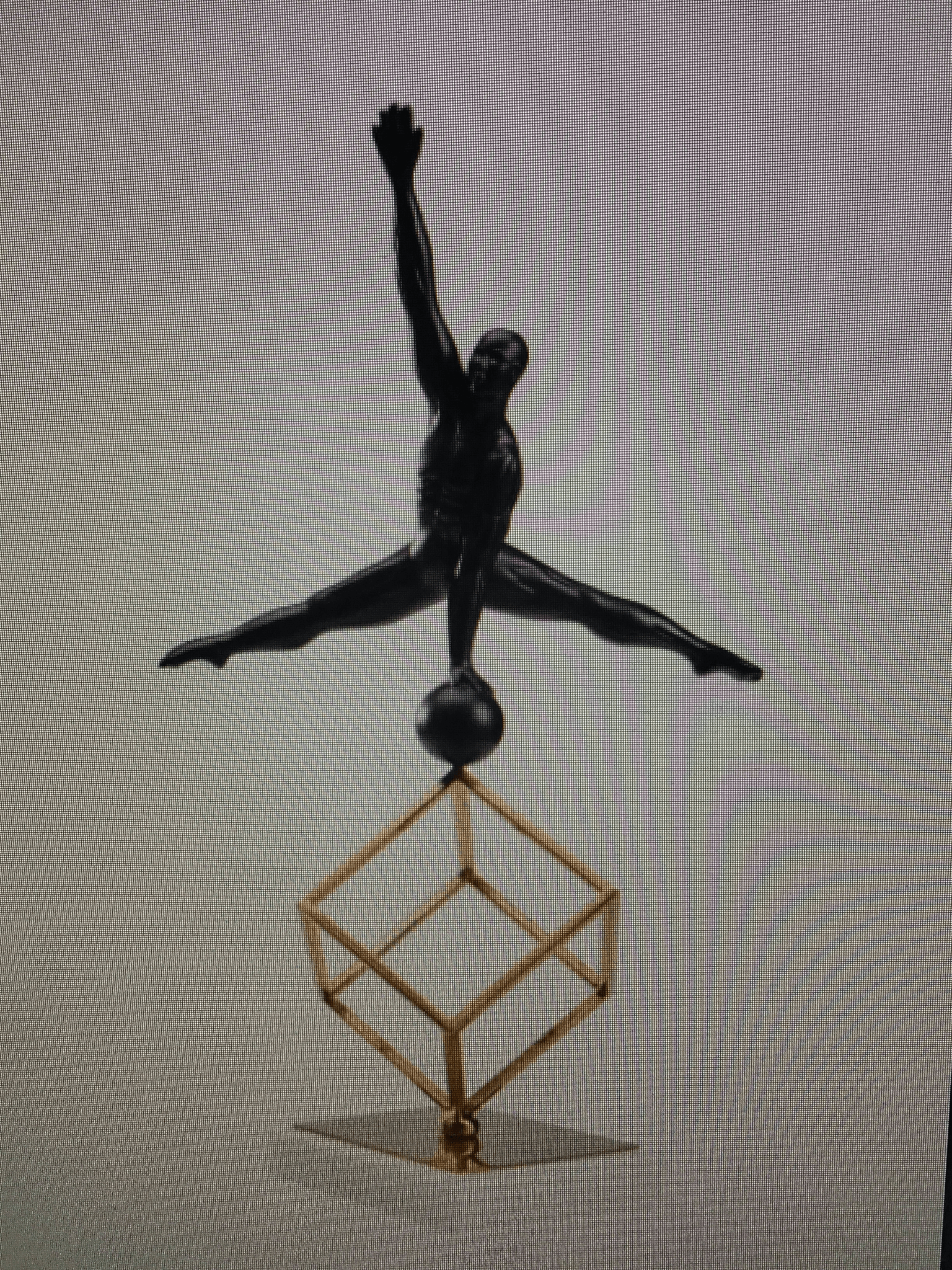 Selected Variant Image