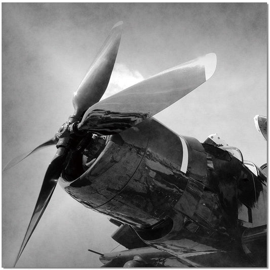 Rotore di aeromobile