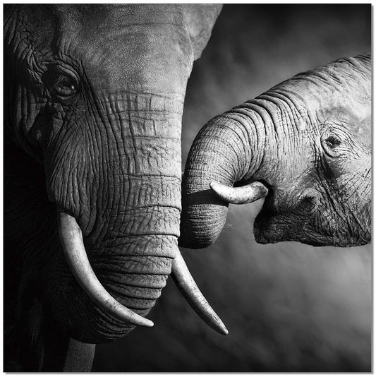Mamma elefante