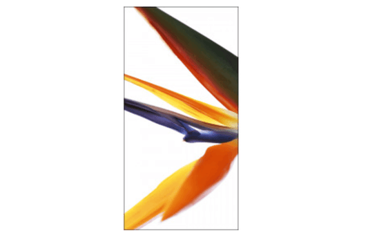 Laura II Arte 36 x 72