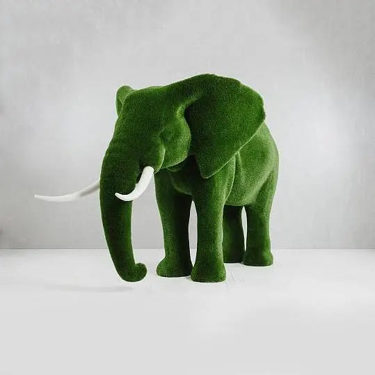 Collezione di topiaria di erba elefante