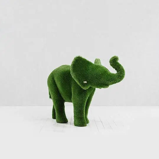 Collezione di topiaria di erba elefante
