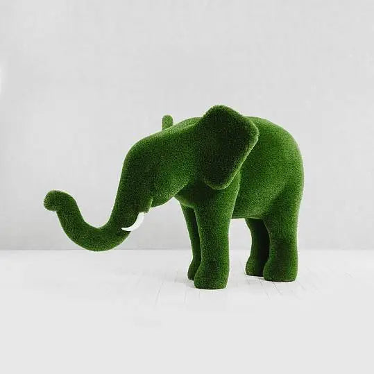 Collezione di topiaria di erba elefante