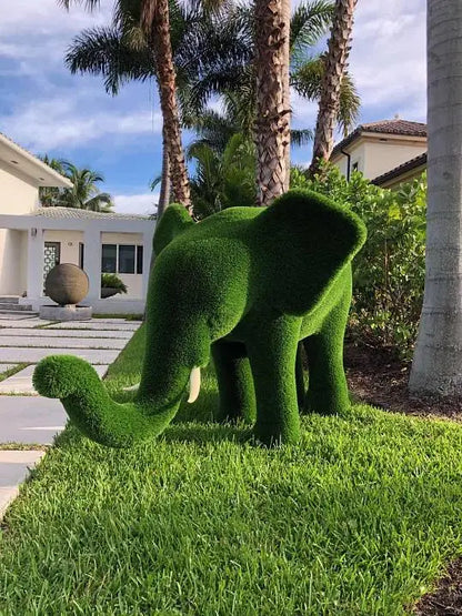 Collezione di topiaria di erba elefante